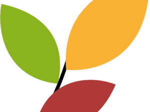 se-edu-favicon